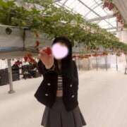 ヒメ日記 2026/03/13 02:41 投稿 いちご ピンクコレクション大阪