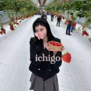 ヒメ日記 2026/03/20 23:51 投稿 いちご ピンクコレクション大阪