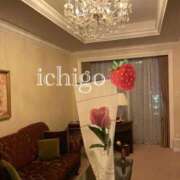 いちご 🌹ありがとう‎🤍 ピンクコレクション大阪