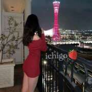 ヒメ日記 2026/04/12 11:35 投稿 いちご ピンクコレクション大阪