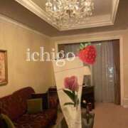 いちご 🌹ありがとう‎🤍 ピンクコレクション大阪キタ店