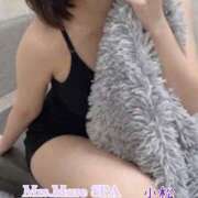 ヒメ日記 2026/04/06 14:29 投稿 小松 Mrs.Mure SPA(ミセスミュールスパ )
