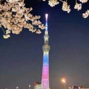 ヒメ日記 2026/04/03 00:21 投稿 桜庭ひまり やみつきエステ千葉栄町店