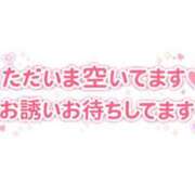 ヒメ日記 2026/03/12 15:24 投稿 にこ 山口周南ちゃんこ