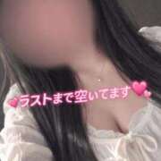 ヒメ日記 2026/03/15 00:57 投稿 にこ 山口周南ちゃんこ