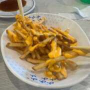 ヒメ日記 2026/03/21 15:12 投稿 にこ 山口周南ちゃんこ