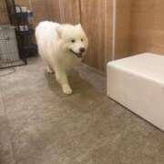 ヒメ日記 2026/06/13 13:37 投稿 にこ 山口周南ちゃんこ