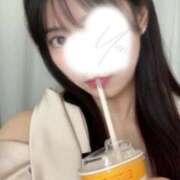 ヒメ日記 2026/04/29 08:37 投稿 ゆり ハイブリッドエステ 禅〜ZEN〜