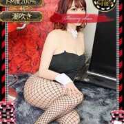 シキ【濡れイキ狂い美女】 シキを抱いて ドMなバニーちゃん和歌山店