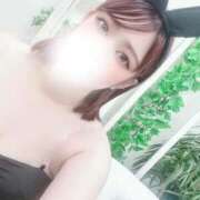 ヒメ日記 2026/05/16 08:54 投稿 シキ【濡れイキ狂い美女】 ドMなバニーちゃん和歌山店