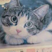 ヒメ日記 2026/04/06 11:29 投稿 ふじこ 丸妻 厚木店