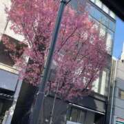 ヒメ日記 2026/03/23 14:46 投稿 松岡はな 断りきれない美人マッサージ嬢たち