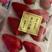 ヒメ日記 2026/03/19 20:17 投稿 Megumi Niiyama ELEGANT－エレガント－