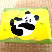 Megumi Niiyama 謎の掟とパンダ🐼 ELEGANT－エレガント－