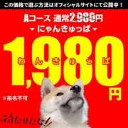 ヒメ日記 2026/04/17 19:07 投稿 ひなえ 2980円（にゃんきゅっぱ）
