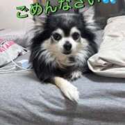 ヒメ日記 2026/03/22 01:50 投稿 さな 人妻の輝き(大阪)