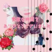 ヒメ日記 2026/04/04 07:07 投稿 さとみ ギン妻パラダイス 堺東店