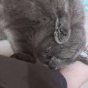 ヒメ日記 2026/04/10 18:54 投稿 さとみ ギン妻パラダイス 堺東店