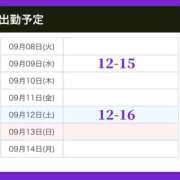ヒメ日記 2026/09/08 12:08 投稿 あすか 綺麗＆kirei