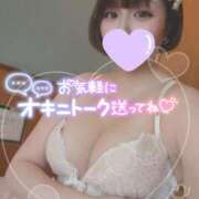 ヒメ日記 2026/04/07 09:30 投稿 ここ ぽっちゃりきぶん