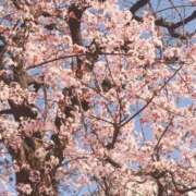 ヒメ日記 2026/03/13 22:03 投稿 早乙女 翼 人妻セレブ宮殿