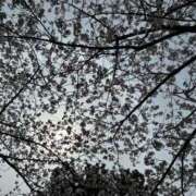 ヒメ日記 2026/04/15 15:57 投稿 水野樹里 五十路マダム 博多店