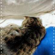 ヒメ日記 2026/03/20 03:46 投稿 土屋彗 五十路マダムエクスプレス船橋店(カサブランカグループ)