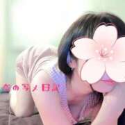 ヒメ日記 2026/04/08 10:35 投稿 杏奈 池袋夢幻