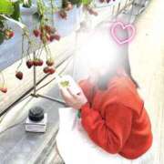 ヒメ日記 2026/03/11 23:06 投稿 ここ アメリカンクリスタル