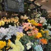 ヒメ日記 2026/03/13 22:45 投稿 夏風 みゆう 人妻セレブ宮殿