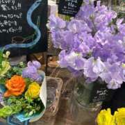 ヒメ日記 2026/04/04 19:30 投稿 夏風 みゆう 人妻セレブ宮殿