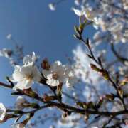 ヒメ日記 2026/04/05 09:28 投稿 新垣 おふくろ