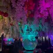 ヒメ日記 2026/04/07 07:33 投稿 新垣 おふくろ