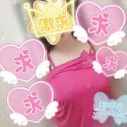 ヒメ日記 2026/04/11 11:00 投稿 まい 倶楽部愛