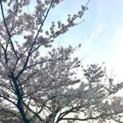 鳳いこい★現役学生美乳美尻美脚！ お花見🌸🍡 PLAY