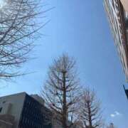 ヒメ日記 2026/03/24 11:48 投稿 新人かや 奥様メモリアル