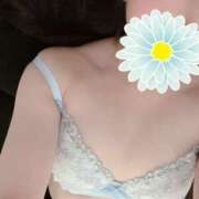 ヒメ日記 2026/03/24 12:48 投稿 新人かや 奥様メモリアル