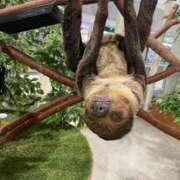 ヒメ日記 2026/03/25 17:27 投稿 新人かや 奥様メモリアル