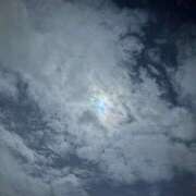 新人かや あたたかな夜♪ 奥様メモリアル