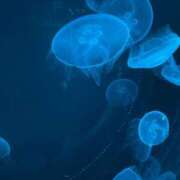 ヒメ日記 2026/04/18 00:42 投稿 新人かや 奥様メモリアル