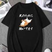 ヒメ日記 2026/03/13 11:36 投稿 ふたば 熟女家 京橋店