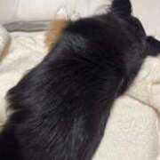 ヒメ日記 2026/03/21 09:16 投稿 ふたば 熟女家 京橋店