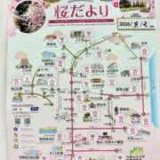 ヒメ日記 2026/04/03 09:00 投稿 ふたば 熟女家 京橋店