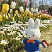 ヒメ日記 2026/04/03 15:06 投稿 ふたば 熟女家 京橋店