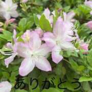 ヒメ日記 2026/04/21 19:36 投稿 ふたば 熟女家 京橋店