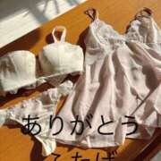 ヒメ日記 2026/05/01 08:22 投稿 ふたば 熟女家 京橋店