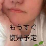 ヒメ日記 2026/08/16 09:28 投稿 ふたば 熟女家 京橋店