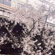 ヒメ日記 2026/03/31 09:55 投稿 りさ 西川口マーメイド