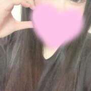 ヨリトフグ　寄人河豚 🎀今日も…/// 女の子市場