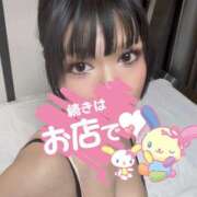 ヒメ日記 2026/03/24 18:12 投稿 なお 桃李（とうり）